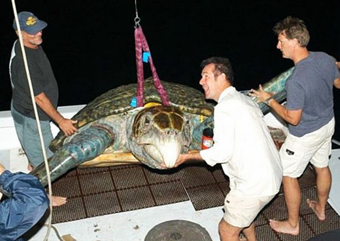 Прикольные картинки (90 фото)