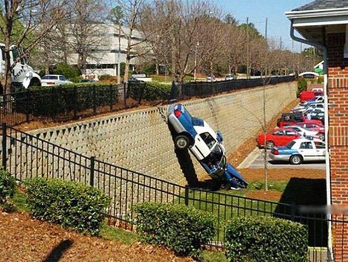 Прикольные картинки (90 фото)