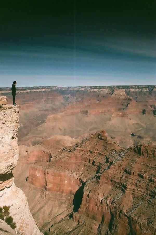 Прикольные картинки (92 фото)