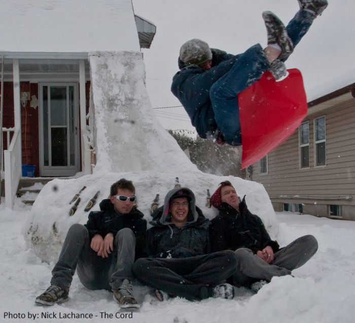 Прикольные картинки (92 фото)