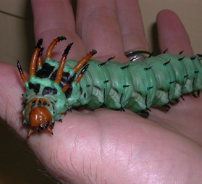 Прикольные картинки (92 фото)