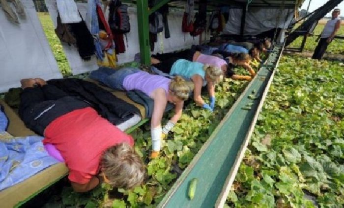 Прикольные картинки (92 фото)