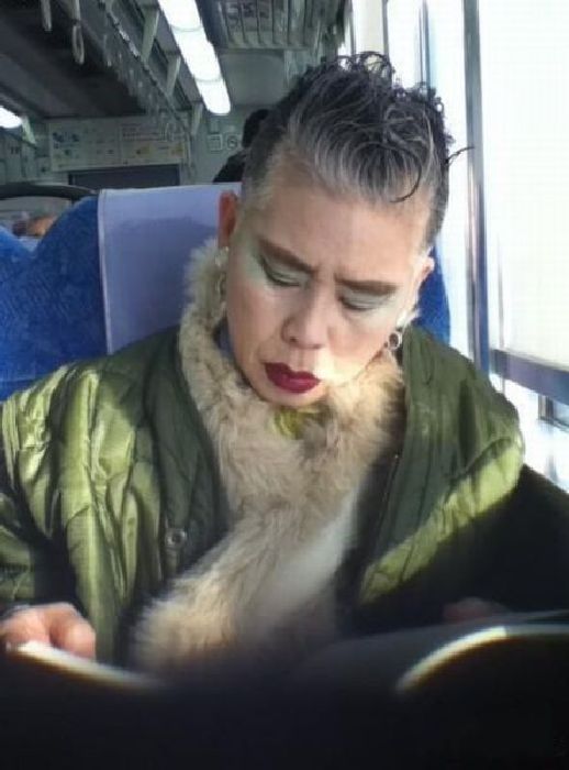 Прикольные картинки (92 фото)