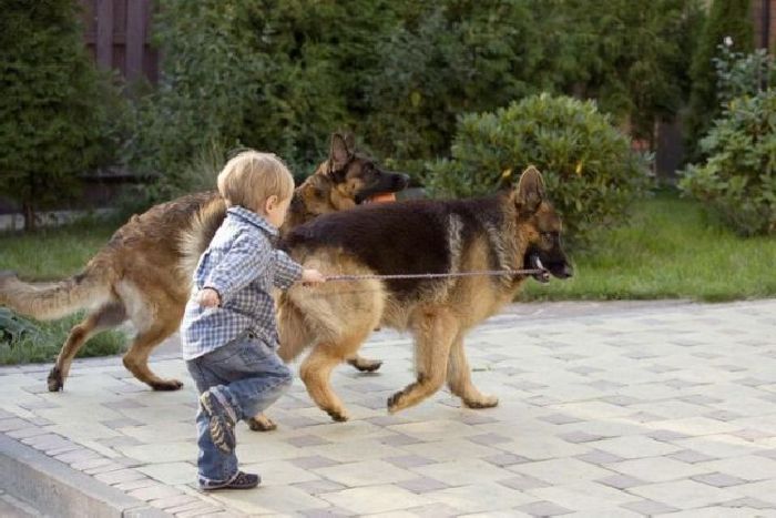 Прикольные картинки (92 фото)