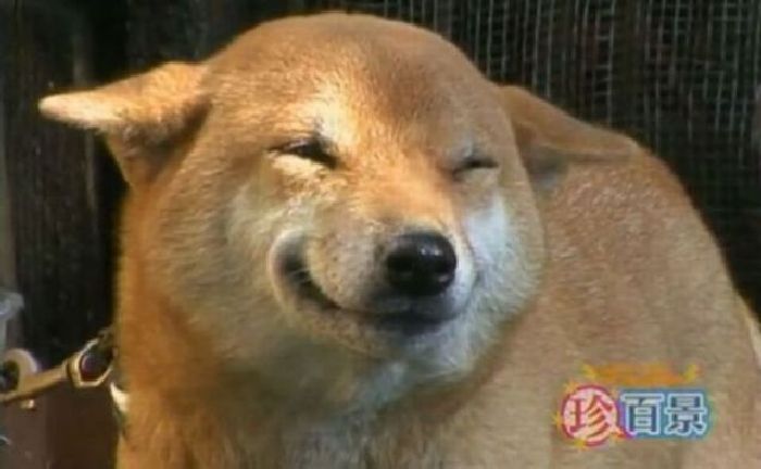 Прикольные картинки (92 фото)