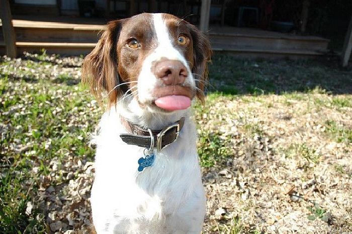 Прикольные картинки (92 фото)