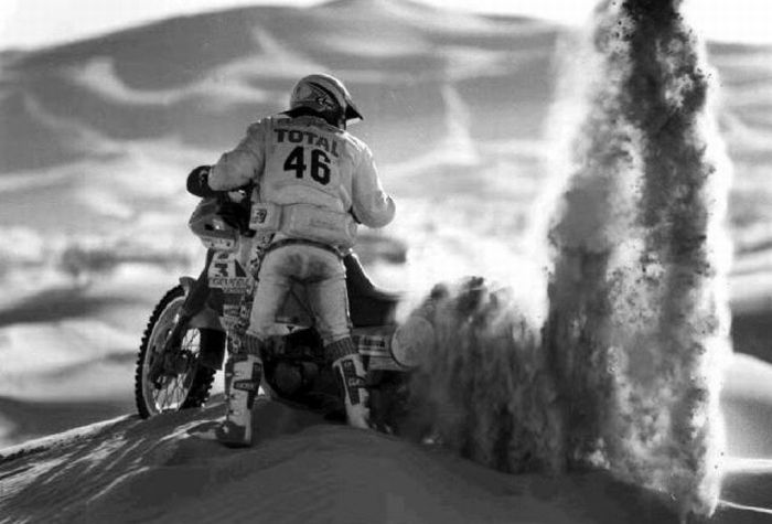 Прикольные картинки (93 фото)