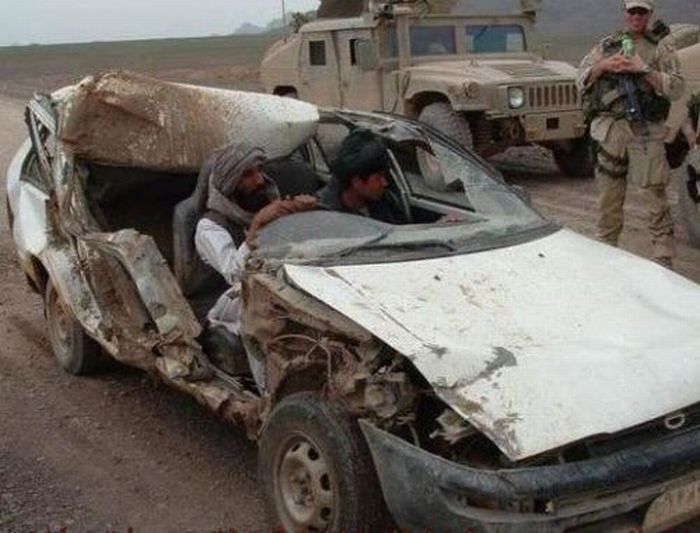 Прикольные картинки (93 фото)