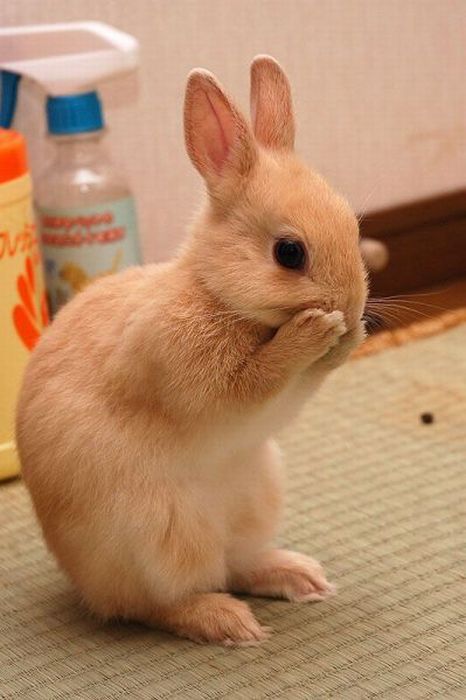 Прикольные картинки (93 фото)