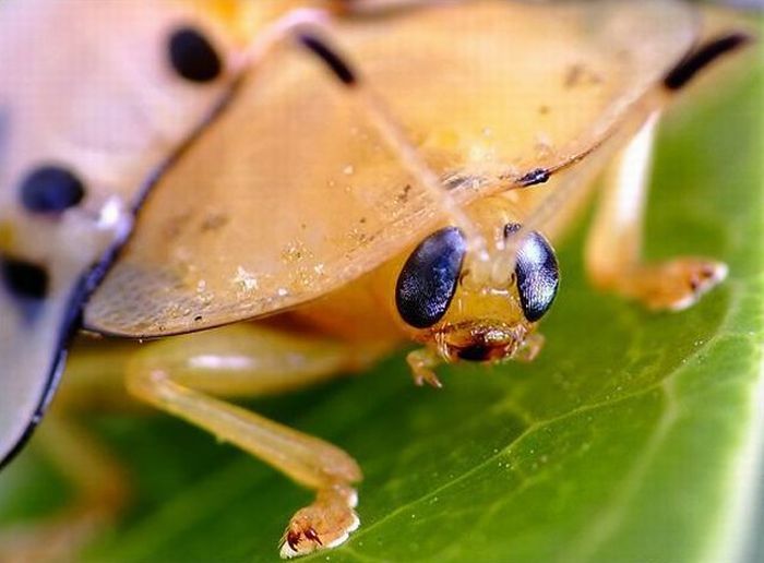 Прикольные картинки (93 фото)