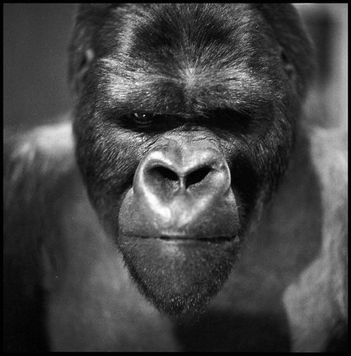 Прикольные картинки (93 фото)