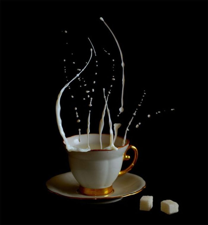 Прикольные картинки (93 фото)