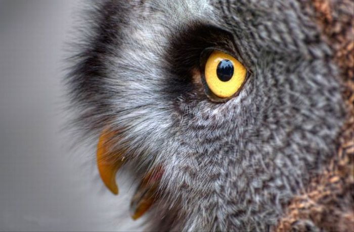 Прикольные картинки (93 фото)