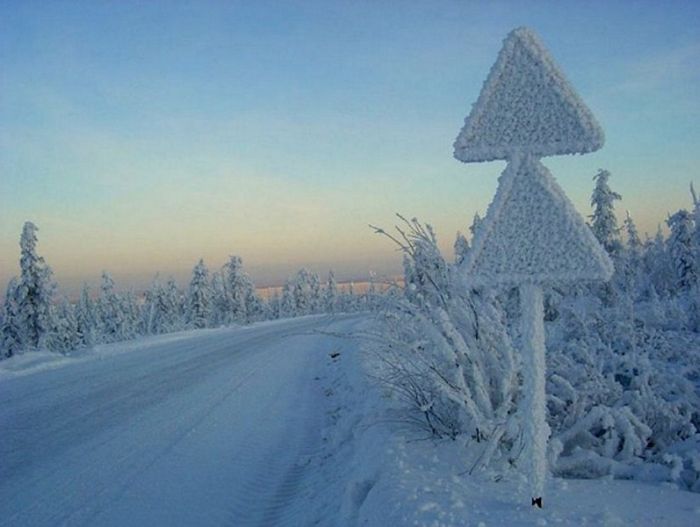 Прикольные картинки (93 фото)