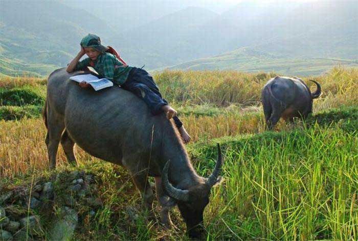 Прикольные картинки (93 фото)