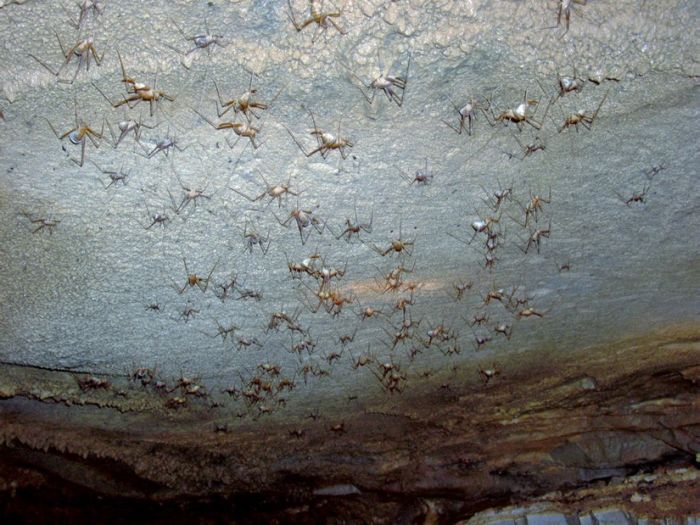 Прикольные картинки (93 фото)