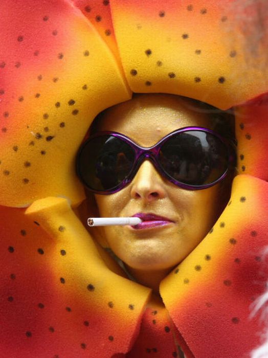 Прикольные картинки (93 фото)