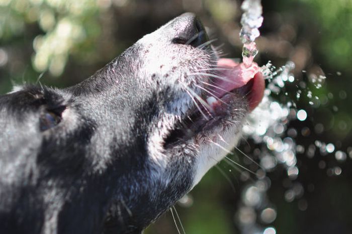 Прикольные картинки (93 фото)