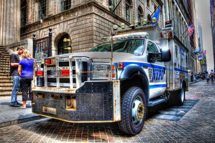 Прикольные картинки (93 фото)