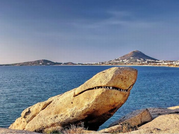 Прикольные картинки (93 фото)