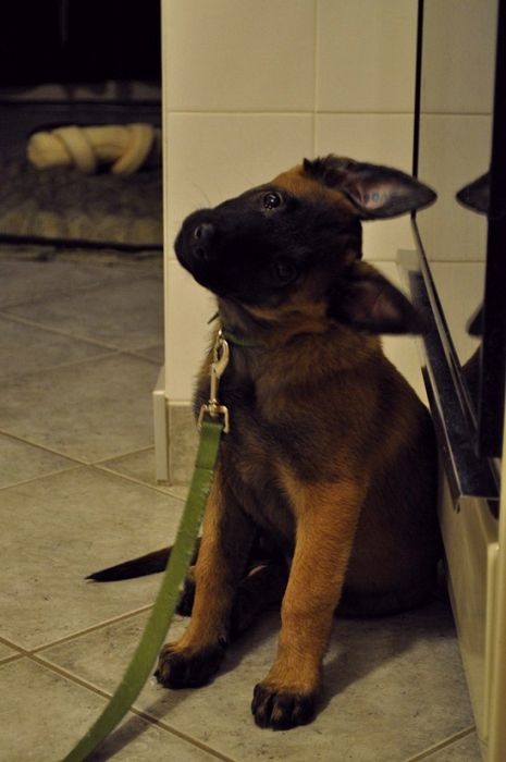 Прикольные картинки (93 фото)