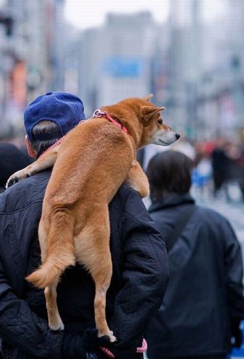 Прикольные картинки (98 фото)