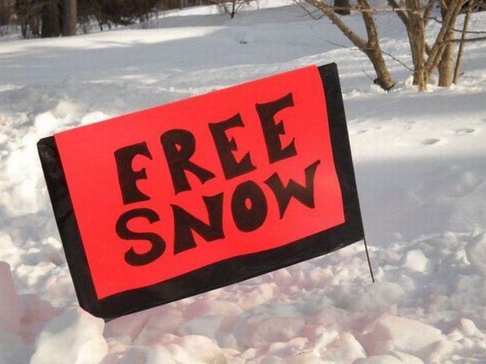 Прикольные картинки (98 фото)