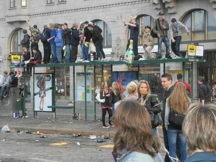 Прикольные картинки (98 фото)