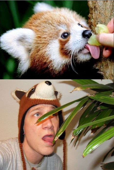 Прикольные картинки (98 фото)