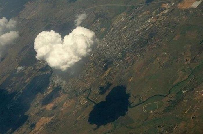 Прикольные картинки (98 фото)