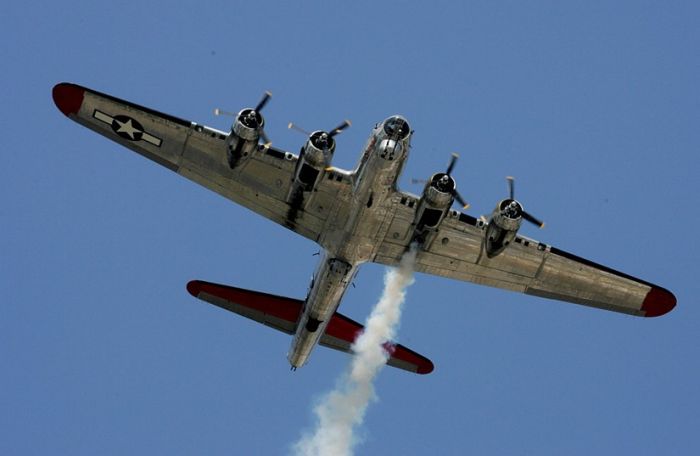 Прикольные картинки (98 фото)