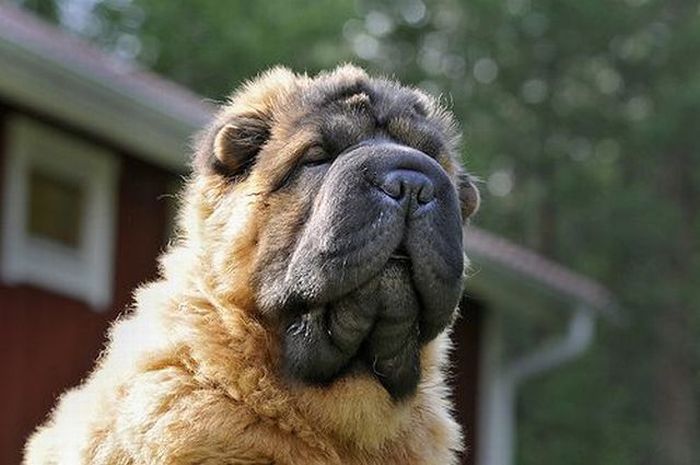 Прикольные картинки (98 фото)