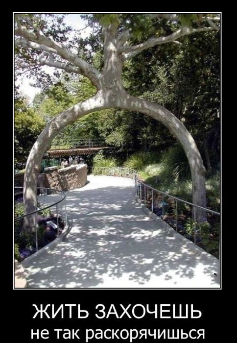 Демотиваторы (88 фото)