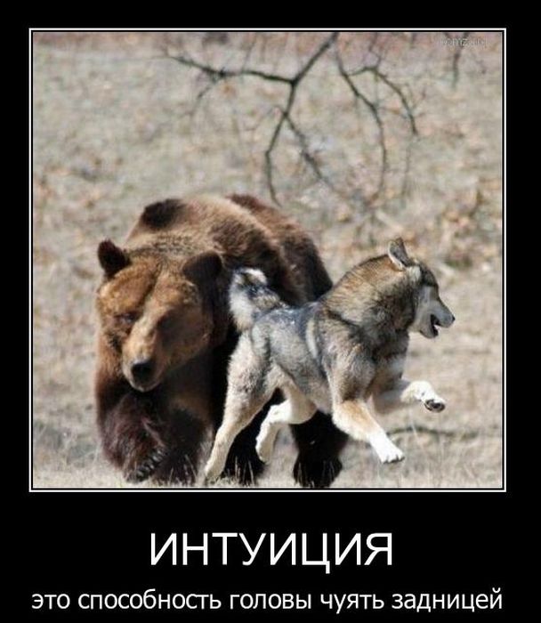 Демотиваторы (88 фото)