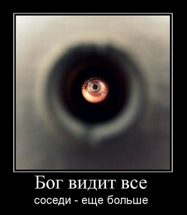 Демотиваторы (88 фото)