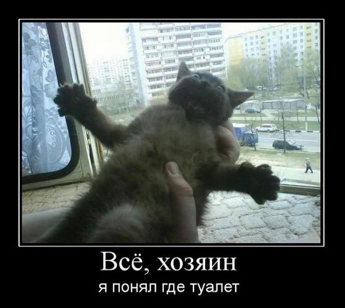 Демотиваторы (88 фото)