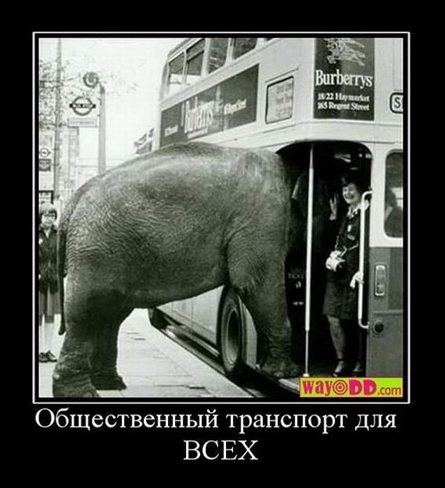 Демотиваторы (88 фото)