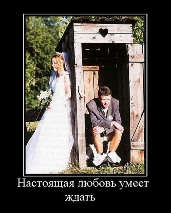 Демотиваторы (88 фото)