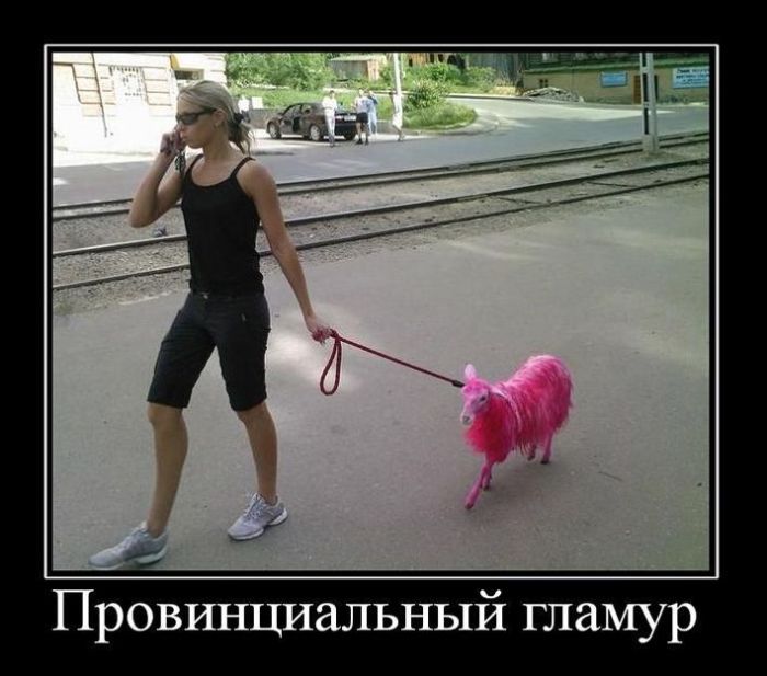 Демотиваторы (88 фото)