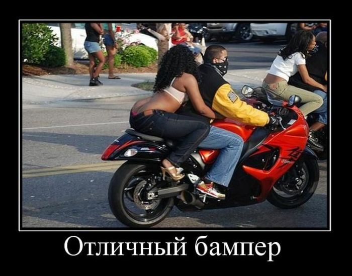 Демотиваторы (88 фото)