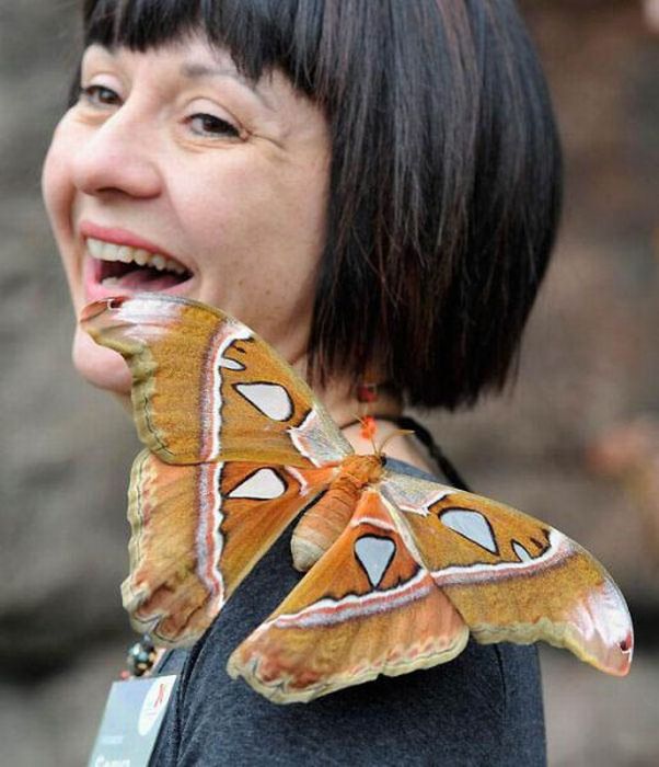 Прикольные картинки (94 фото)