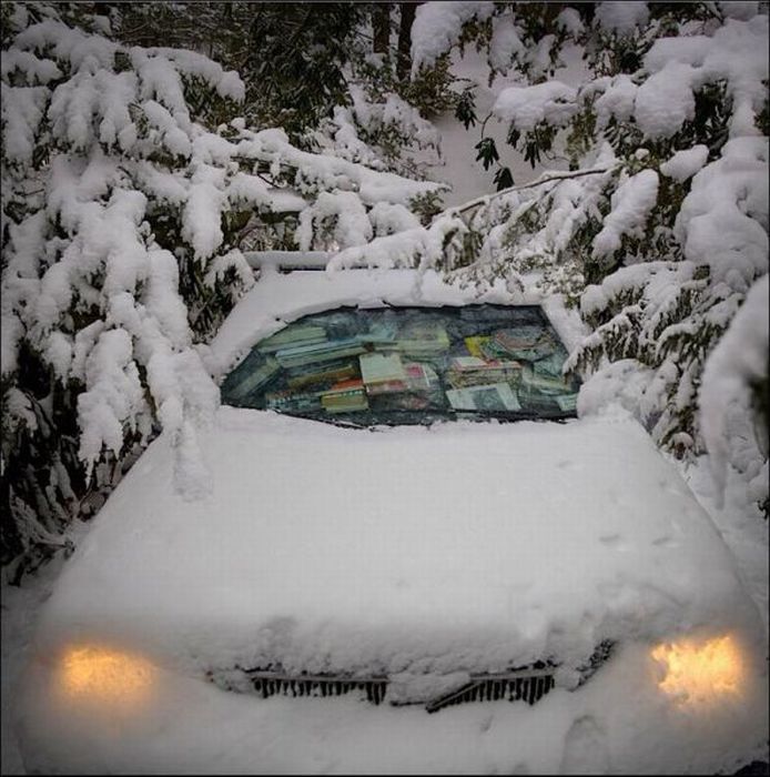 Прикольные картинки (94 фото)