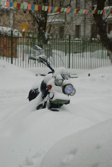 Прикольные картинки (93 фото)