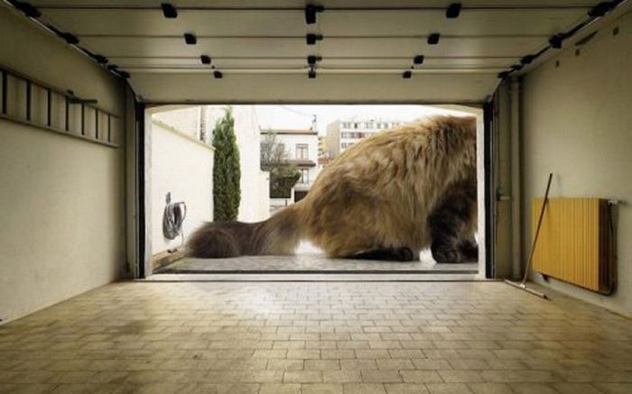 Прикольные картинки (91 фото)