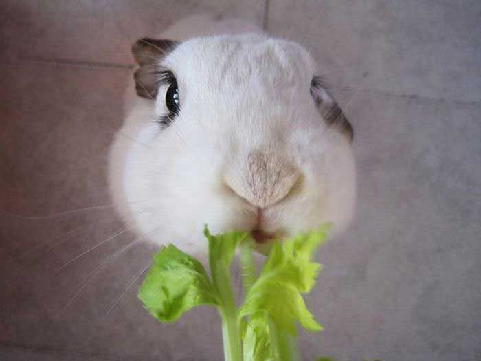 Прикольные картинки (91 фото)