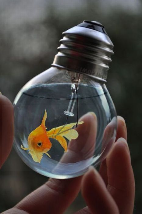 Прикольные картинки (91 фото)