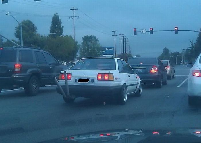 Прикольные картинки (91 фото)