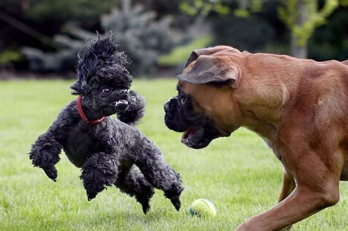 Прикольные картинки (91 фото)