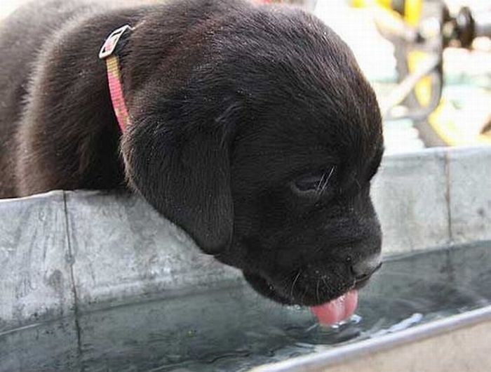 Прикольные картинки (91 фото)