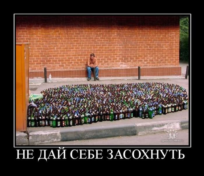 Демотиваторы (42 фото)